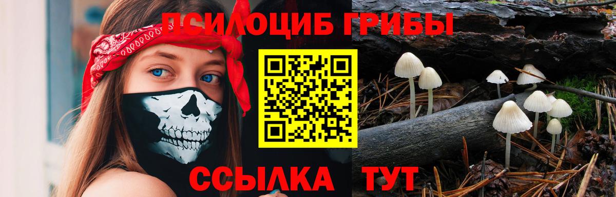 Галлюциногенные грибы Magic Shrooms  Карасук  Псилоцибиновые грибы прущие грибы 
