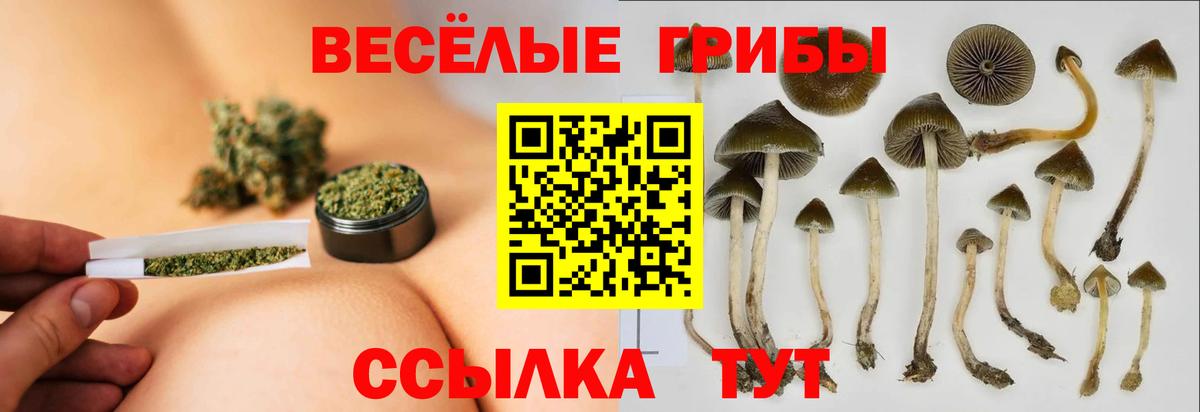 Галлюциногенные грибы Psilocybe  где купить   Галлюциногенные грибы мухоморы  Карасук  Вход с VPN 