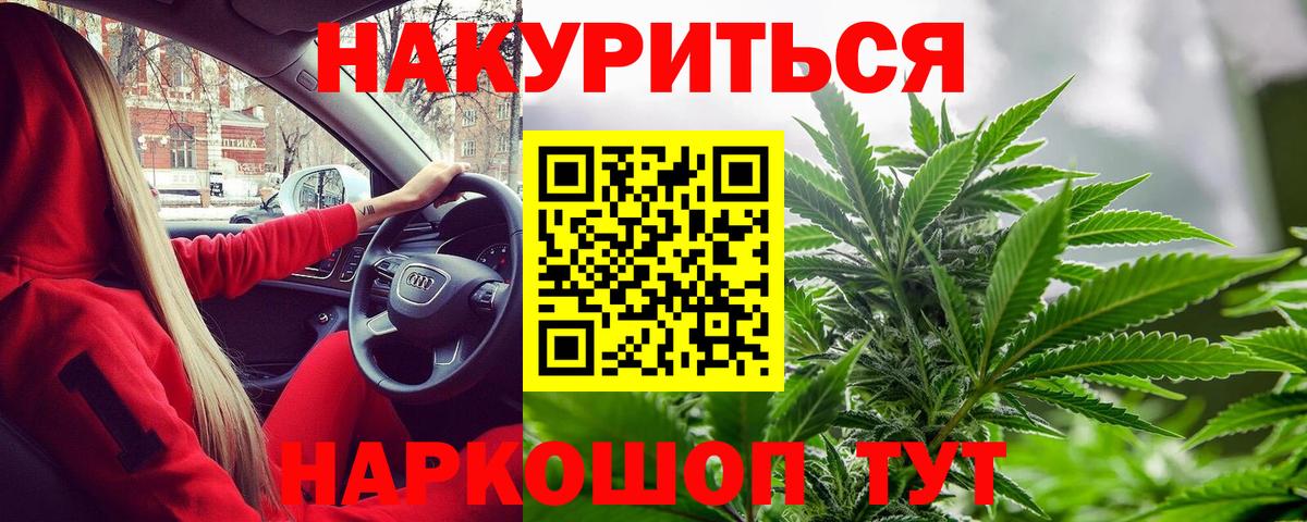 Конопля гибрид Карасук